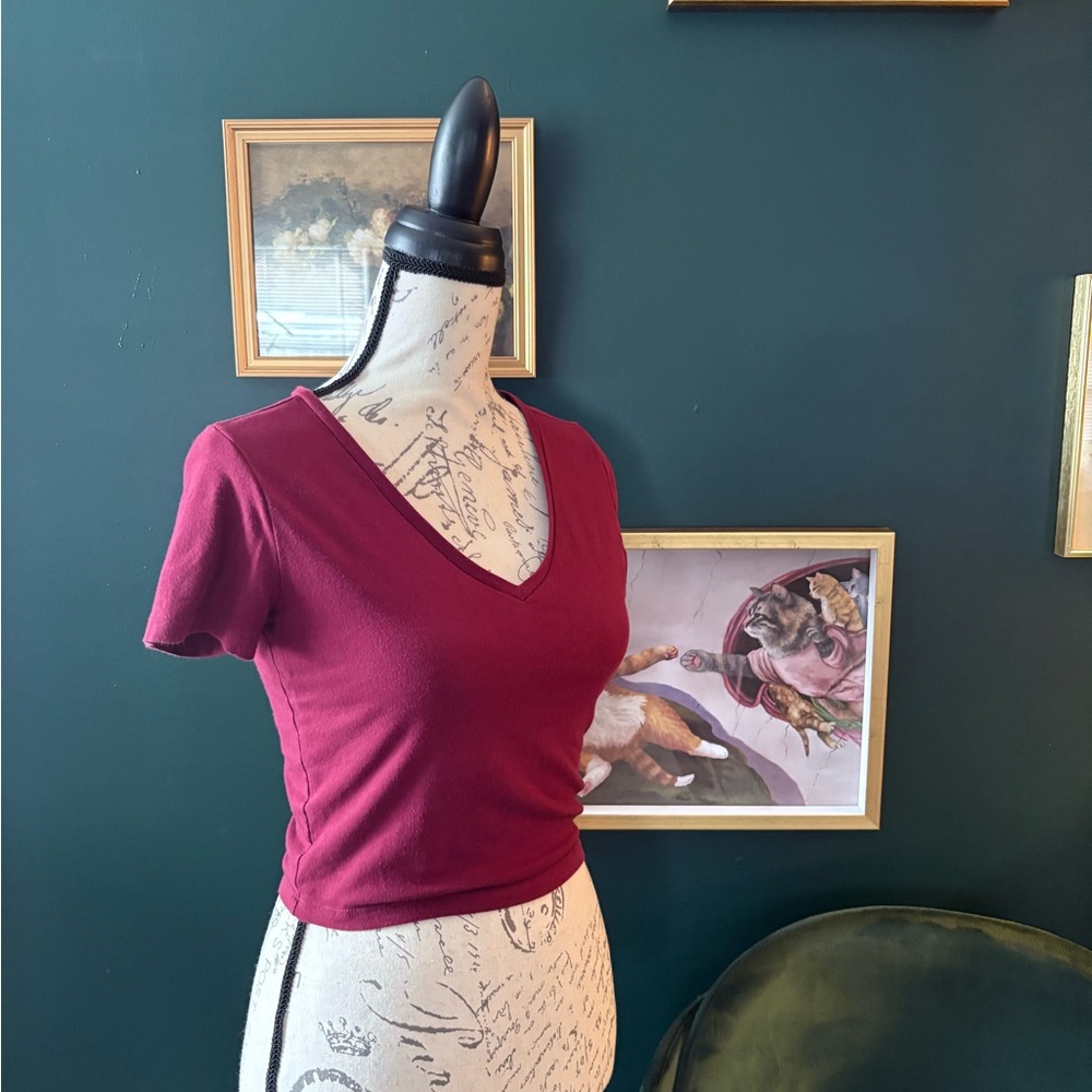 Wild Fable Burgundy V-Neck Crop Top